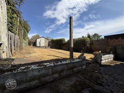 Picture 25